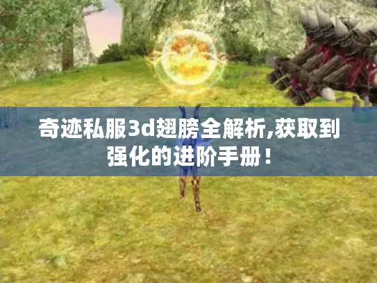 奇迹私服3d翅膀全解析,获取到强化的进阶手册! 奇迹私服3d翅膀全解析,获取到强化的进阶手册!