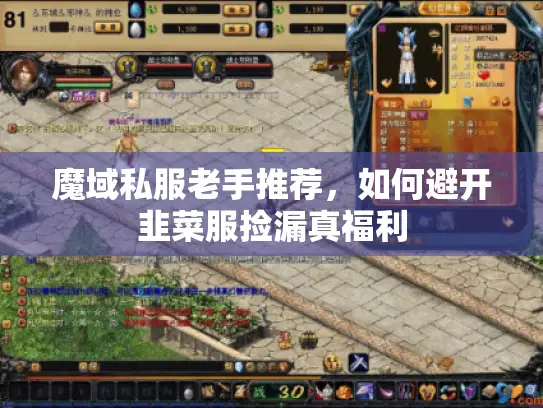 魔域私服老手推荐，如何避开韭菜服捡漏真福利