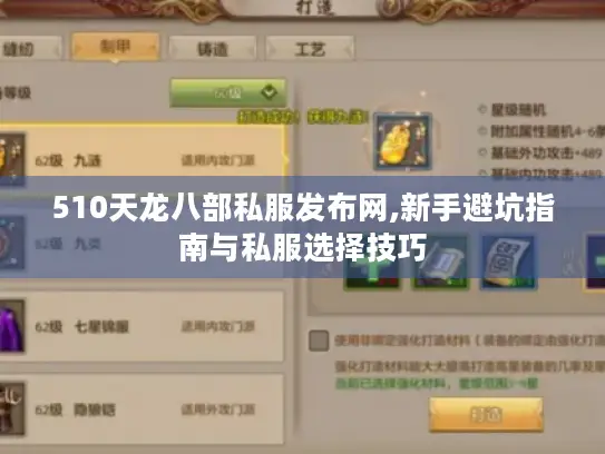510天龙八部私服发布网,新手避坑指南与私服选择技巧 510天龙八部私服发布网,新手避坑指南与私服选择技巧