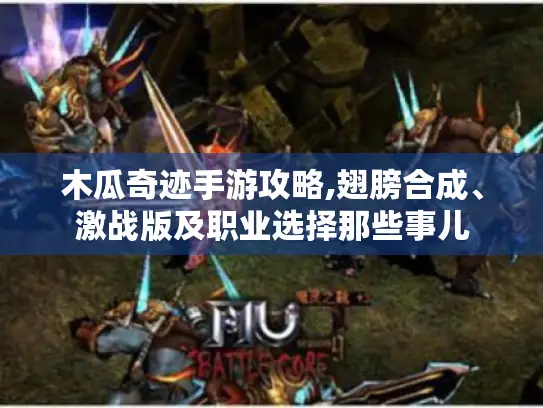 木瓜奇迹手游攻略,翅膀合成、激战版及职业选择那些事儿