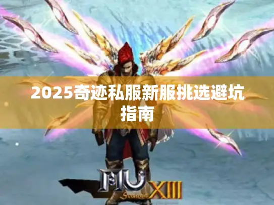 2025奇迹私服新服挑选避坑指南 2025奇迹私服新服挑选避坑指南