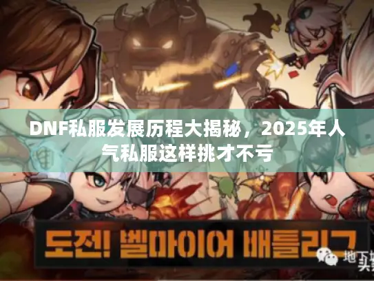 DNF私服发展历程大揭秘,2025年人气私服这样挑才不亏 DNF私服发展历程大揭秘,2025年人气私服这样挑才不亏