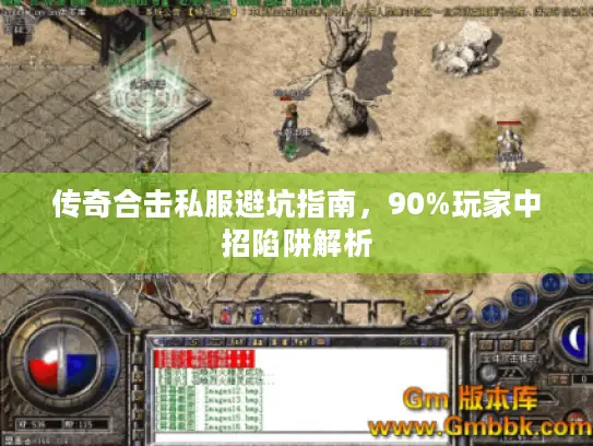 传奇合击私服避坑指南，90%玩家中招陷阱解析
