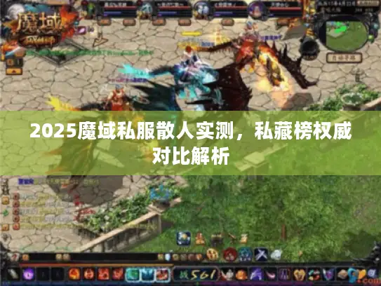 2025魔域私服散人实测，私藏榜权威对比解析