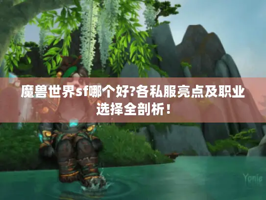 魔兽世界sf哪个好?各私服亮点及职业选择全剖析！