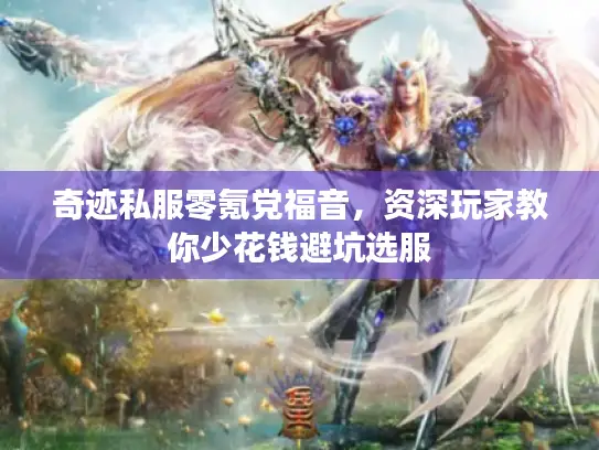 奇迹私服零氪党福音,资深玩家教你少花钱避坑选服 奇迹私服零氪党福音,资深玩家教你少花钱避坑选服