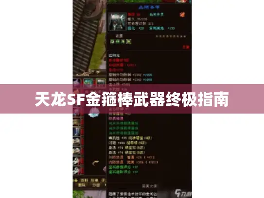 天龙SF金箍棒武器终极指南 天龙SF金箍棒武器终极指南