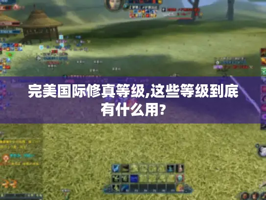 完美国际修真等级,这些等级到底有什么用?