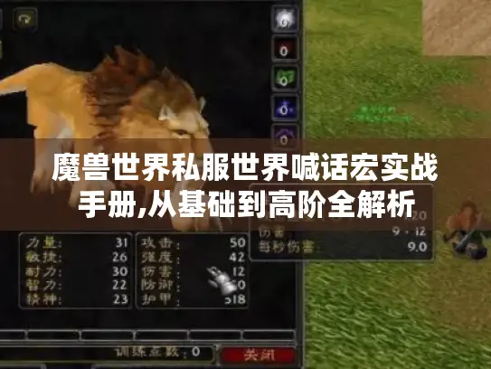 魔兽世界私服世界喊话宏实战手册,从基础到高阶全解析