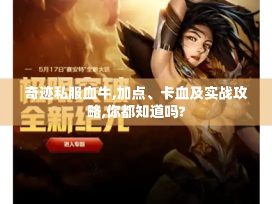奇迹私服血牛,加点、卡血及实战攻略,你都知道吗?