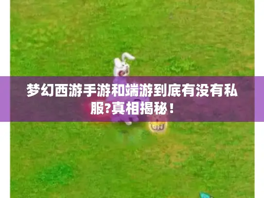梦幻西游手游和端游到底有没有私服?真相揭秘！