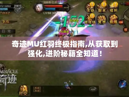 奇迹MU红羽终极指南,从获取到强化,进阶秘籍全知道！