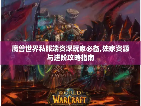 魔兽世界私服端资深玩家必备,独家资源与进阶攻略指南