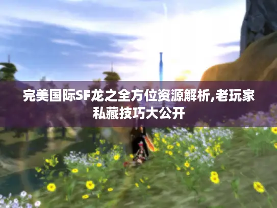 完美国际SF龙之全方位资源解析,老玩家私藏技巧大公开