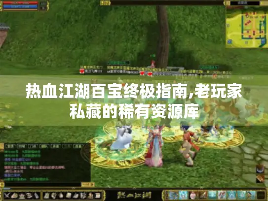 热血江湖百宝终极指南,老玩家私藏的稀有资源库 热血江湖百宝终极指南,老玩家私藏的稀有资源库