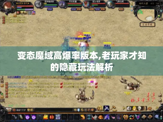 变态魔域高爆率版本,老玩家才知的隐藏玩法解析