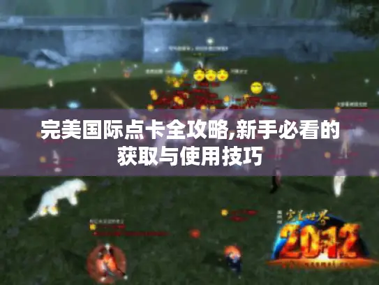 完美国际点卡全攻略,新手必看的获取与使用技巧 完美国际点卡全攻略,新手必看的获取与使用技巧