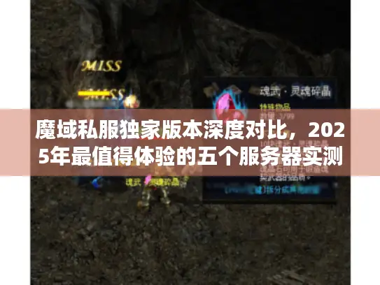 魔域私服独家版本深度对比,2025年最值得体验的五个服务器实测 魔域私服独家版本深度对比,2025年最值得体验的五个服务器实测