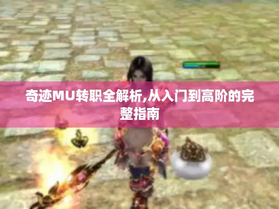 奇迹MU转职全解析,从入门到高阶的完整指南 奇迹MU转职全解析,从入门到高阶的完整指南