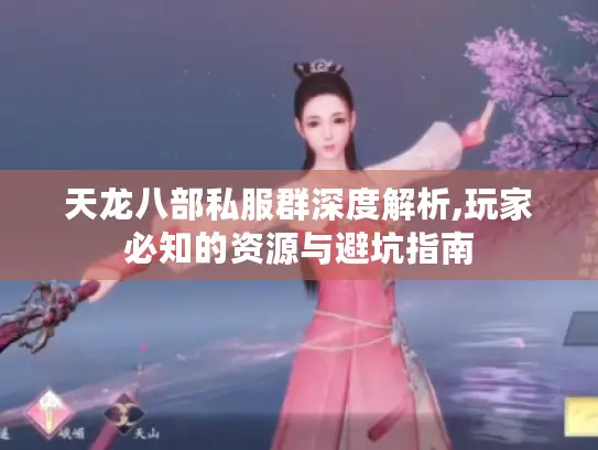 天龙八部私服群深度解析,玩家必知的资源与避坑指南