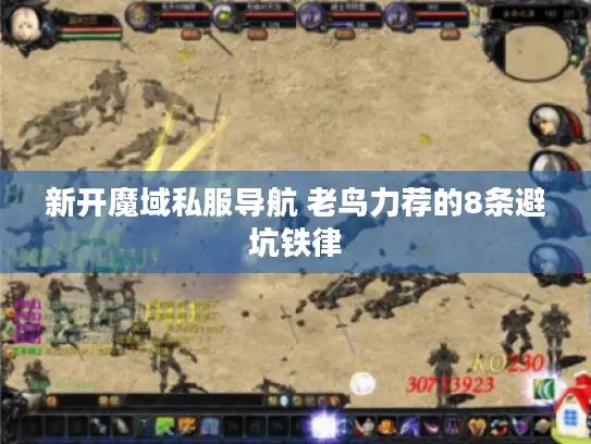 新开魔域私服导航 老鸟力荐的8条避坑铁律