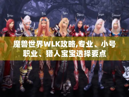 魔兽世界WLK攻略,专业、小号职业、猎人宝宝选择要点