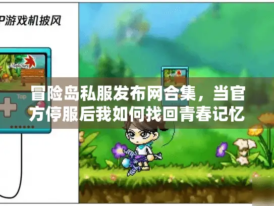 冒险岛私服发布网合集，当官方停服后我如何找回青春记忆