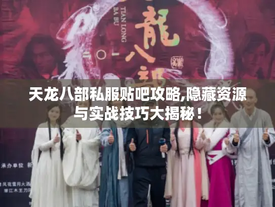 天龙八部私服贴吧攻略,隐藏资源与实战技巧大揭秘！