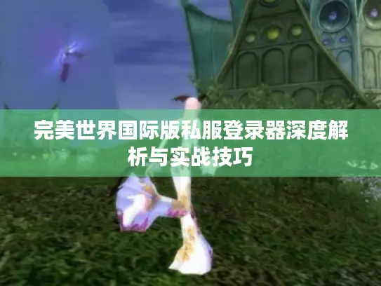 完美世界国际版私服登录器深度解析与实战技巧