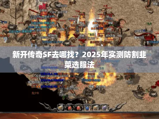 新开传奇SF去哪找？2025年实测防割韭菜选服法