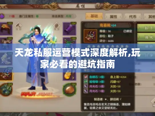 天龙私服运营模式深度解析,玩家必看的避坑指南 天龙私服运营模式深度解析,玩家必看的避坑指南