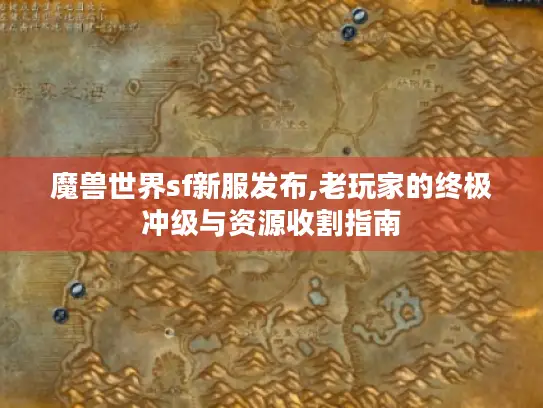 魔兽世界sf新服发布,老玩家的终极冲级与资源收割指南