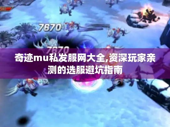 奇迹mu私发服网大全,资深玩家亲测的选服避坑指南 奇迹mu私发服网大全,资深玩家亲测的选服避坑指南