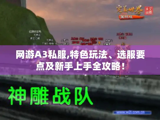 网游A3私服,特色玩法、选服要点及新手上手全攻略！