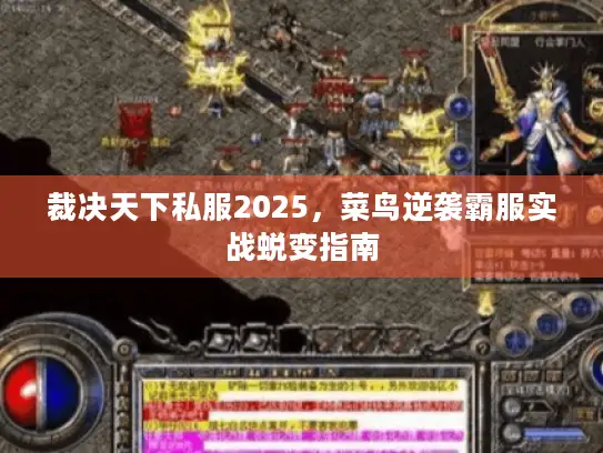 裁决天下私服2025,菜鸟逆袭霸服实战蜕变指南 裁决天下私服2025,菜鸟逆袭霸服实战蜕变指南