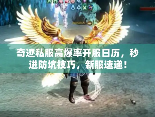 奇迹私服高爆率开服日历，秒进防坑技巧，新服速递！