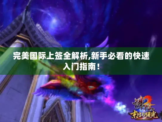 完美国际上签全解析,新手必看的快速入门指南！