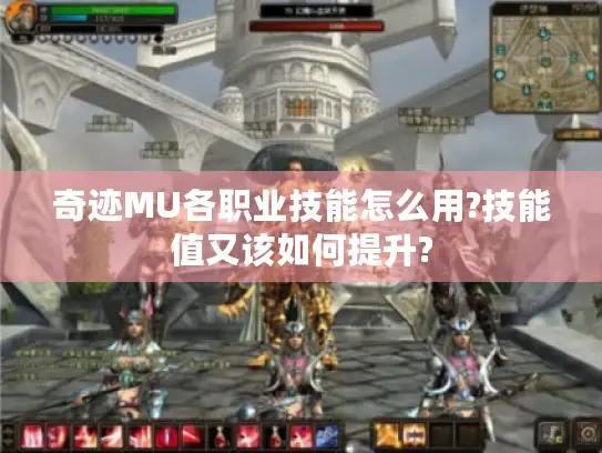奇迹MU各职业技能怎么用?技能值又该如何提升?