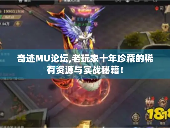奇迹MU论坛,老玩家十年珍藏的稀有资源与实战秘籍！