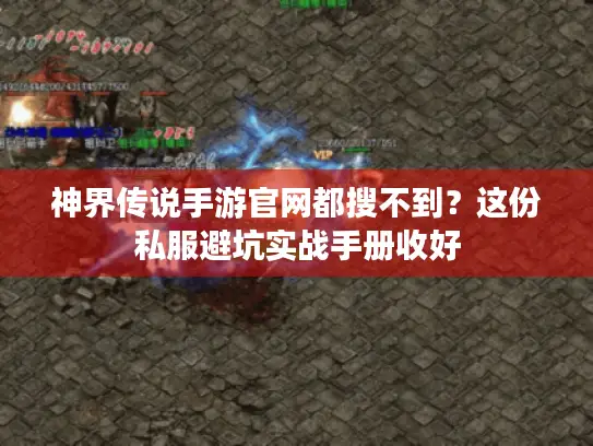 神界传说手游官网都搜不到?这份私服避坑实战手册收好 神界传说手游官网都搜不到?这份私服避坑实战手册收好