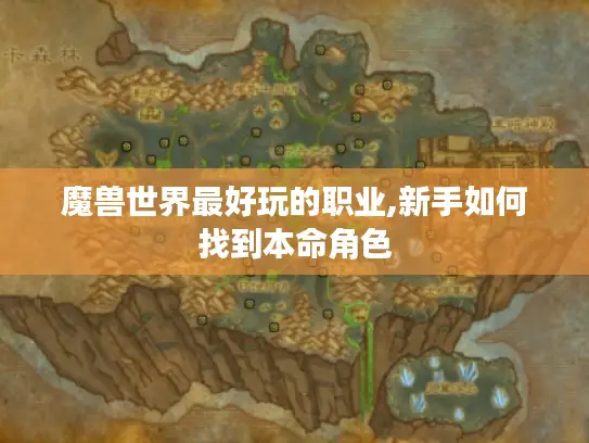 魔兽世界最好玩的职业,新手如何找到本命角色