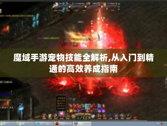 魔域手游宠物技能全解析,从入门到精通的高效养成指南