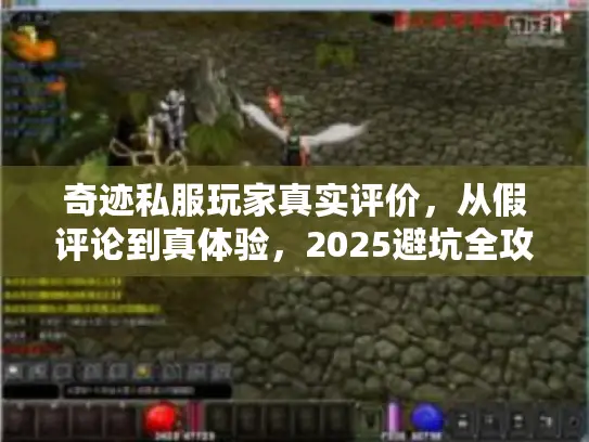 奇迹私服玩家真实评价，从假评论到真体验，2025避坑全攻略