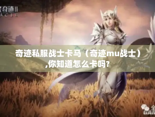 奇迹私服战士卡马（奇迹mu战士）,你知道怎么卡吗?