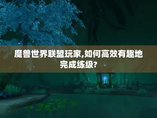 魔兽世界联盟玩家,如何高效有趣地完成练级?