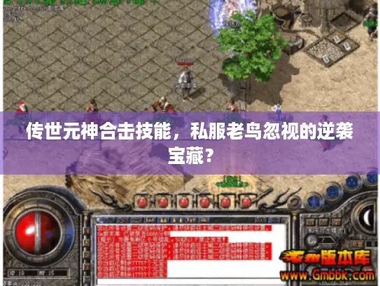 传世元神合击技能,私服老鸟忽视的逆袭宝藏? 传世元神合击技能,私服老鸟忽视的逆袭宝藏?