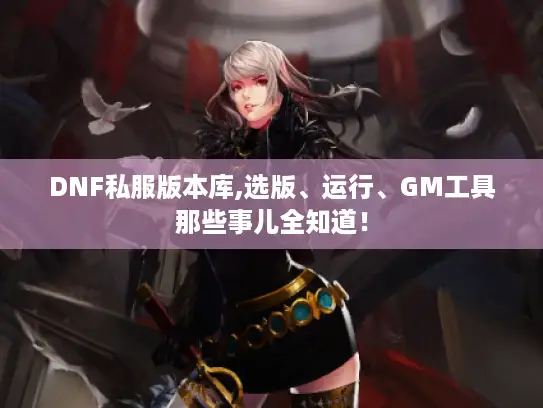 DNF私服版本库,选版、运行、GM工具那些事儿全知道！