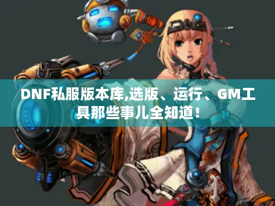 DNF私服版本库,选版、运行、GM工具那些事儿全知道！