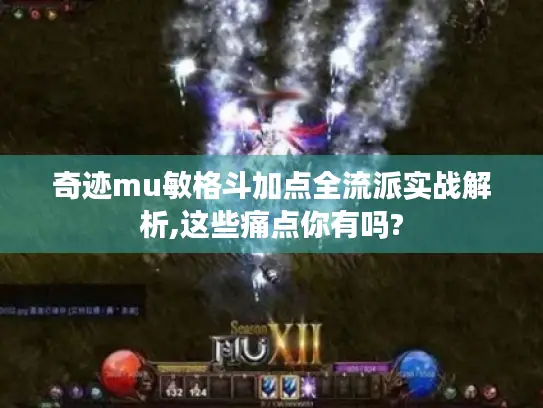 奇迹mu敏格斗加点全流派实战解析,这些痛点你有吗?