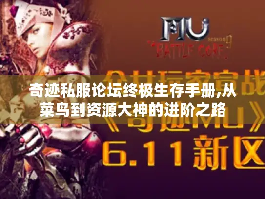 奇迹私服论坛终极生存手册,从菜鸟到资源大神的进阶之路